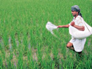 Image of Farmer