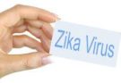 Zika-Virus-Image झिकाःआजार, लक्षणे हडपसर मराठी बातम्या Let's find out! Zika: Diseases, Symptoms Hadapsar Latest News Hadapsar News