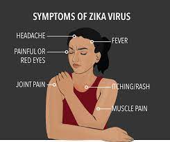 Zika Virus