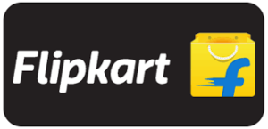 flipkart Flipkart ई-कॉमर्स क्षेत्रातील फ्लिपकार्ट कंपनी हडपसर मराठी बातम्या  Hadapsar Latest News Hadapsar News