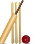 Cricket-Image