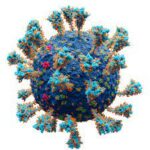 Coronavirus-SARS-Cov