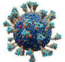 Coronavirus-SARS-Cov