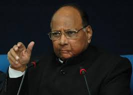 Senior Leader Nationalist Congress Chief Sharad Pawar