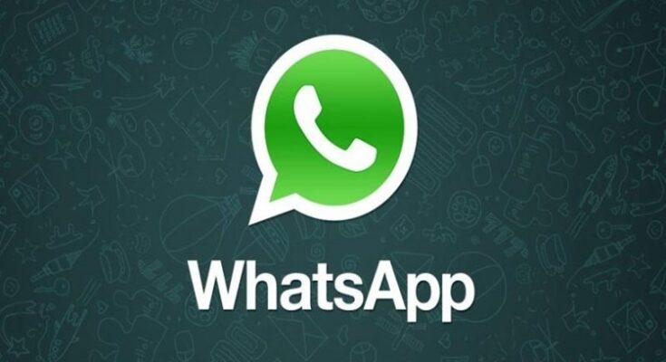 WhatsApp Logo हडपसर न्युज ब्युरो Hadapsar News