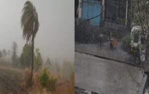 Great damage due to unseasonal rains in Sangli and Sindhudurg हडपसर मराठी बातम्या  Hadapsar Latest News, Hadapsar News