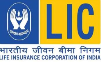 एलआयसी अर्थात भारतीय जीवन वीमा महामंडळ Life Insurance Corporation of India हडपसर मराठी बातम्या Hadapsar News