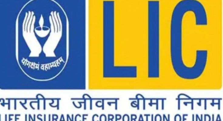 एलआयसी अर्थात भारतीय जीवन वीमा महामंडळ Life Insurance Corporation of India हडपसर मराठी बातम्या Hadapsar News