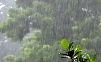 Rain with gale force winds at many places in the state राज्यात अनेक ठिकाणी वादळी वाऱ्यासह पाऊस हडपसर मराठी बातम्या Hadapsar Latest News, Hadapsar News