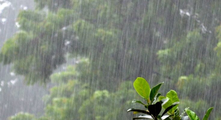 Rain with gale force winds at many places in the state राज्यात अनेक ठिकाणी वादळी वाऱ्यासह पाऊस हडपसर मराठी बातम्या Hadapsar Latest News, Hadapsar News