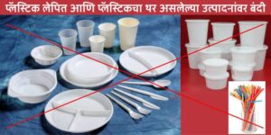 Products with plastic layer banned in the state प्लास्टिकचा थर असलेल्या उत्पादनांवर राज्यात बंदी हडपसर मराठी बातम्या Hadapsar Latest News Hadapsar News