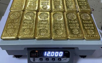 Seizure of 12 Kg of Gold Bars by Mumbai Air Customs मुंबई एअर कस्टम्सकडून 12 किलो सोन्याचे बार जप्त हडपसर मराठी बातम्या Hadapsar Latest News Hadapsar News