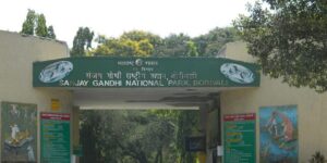 Sanjay Gandhi National Park
 संजय गांधी राष्ट्रीय उद्यान
हडपसर मराठी बातम्या Hadapsar Latest News Hadapsar News
