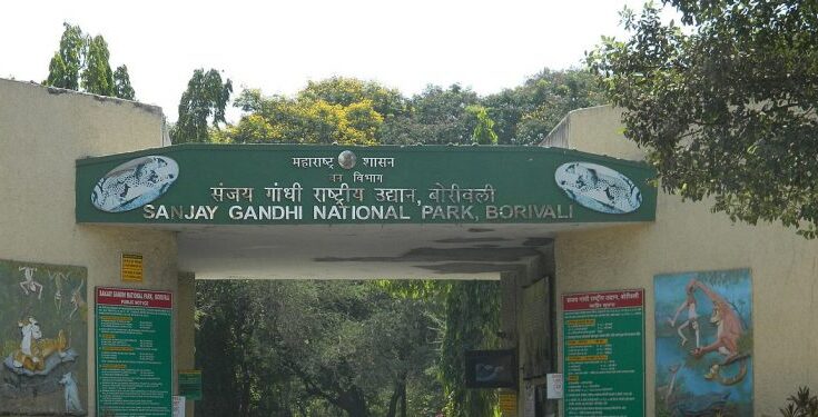 Sanjay Gandhi National Park संजय गांधी राष्ट्रीय उद्यान हडपसर मराठी बातम्या Hadapsar Latest News Hadapsar News