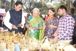 Inauguration of Craftroots Exhibition 2023 by Uttar Pradesh Governor Anandiben Patel
उत्तर प्रदेशच्या राज्यपाल आनंदीबेन पटेल यांच्या हस्ते क्राफ्टरुट्स प्रदर्शन २०२३ चे उद्घाटन
हडपसर क्राइम न्यूज 
हडपसर मराठी बातम्या 
Hadapsar Latest News Hadapsar News