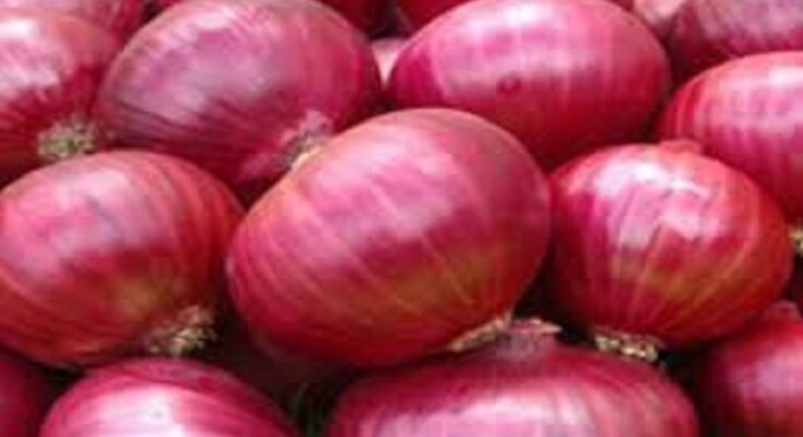 Union Ministry of Commerce approves procurement of onion through NAFED नाफेडमार्फत कांदा खरेदीला केंद्रीय वाणिज्य मंत्रालयाची मंजुरी हडपसर क्राइम न्यूज हडपसर मराठी बातम्या Hadapsar Latest News Hadapsar News