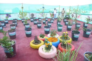 The 'Terrace Garden' project on the roof of the Sinhagad Regional Office
सिंहगड क्षेत्रिय कार्यालयाच्या छतावर ‘टेरेस गार्डन’ हा प्रकल्प
हडपसर क्राइम न्यूज 
हडपसर मराठी बातम्या 
Hadapsar Latest News Hadapsar News