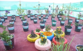 The 'Terrace Garden' project on the roof of the Sinhagad Regional Office सिंहगड क्षेत्रिय कार्यालयाच्या छतावर ‘टेरेस गार्डन’ हा प्रकल्प हडपसर क्राइम न्यूज हडपसर मराठी बातम्या Hadapsar Latest News Hadapsar News