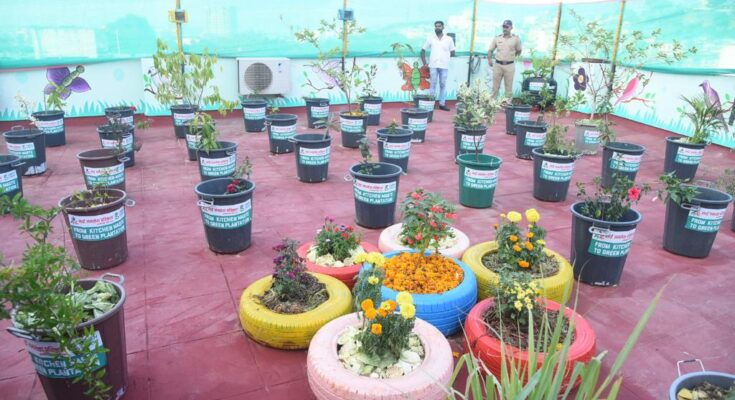 The 'Terrace Garden' project on the roof of the Sinhagad Regional Office सिंहगड क्षेत्रिय कार्यालयाच्या छतावर ‘टेरेस गार्डन’ हा प्रकल्प हडपसर क्राइम न्यूज हडपसर मराठी बातम्या Hadapsar Latest News Hadapsar News