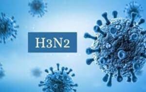 Two deaths due to H3N2 infection in the state
राज्यात H3N2 संसर्गामुळे दोन मृत्यू
हडपसर क्राइम न्यूज, हडपसर मराठी बातम्या, हडपसर न्युज 
Hadapsar Crime News, Hadapsar Marathi News, ,Hadapsar News