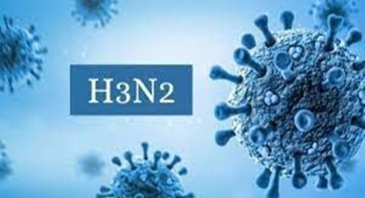 Two deaths due to H3N2 infection in the state राज्यात H3N2 संसर्गामुळे दोन मृत्यू हडपसर क्राइम न्यूज, हडपसर मराठी बातम्या, हडपसर न्युज Hadapsar Crime News, Hadapsar Marathi News, ,Hadapsar News