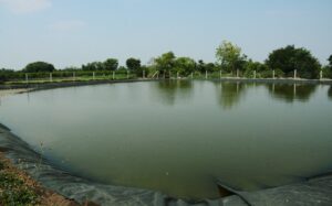 Processing of applications of 4 thousand farmers for individual farm ponds in the state is underway
वैयक्तिक शेततळ्यासाठी राज्यात ४ हजारावर शेतकऱ्यांच्या अर्जावर प्रक्रिया सुरू
हडपसर क्राइम न्यूज, हडपसर मराठी बातम्या, हडपसर न्युज 
Hadapsar Crime News, Hadapsar Marathi News, ,Hadapsar News
