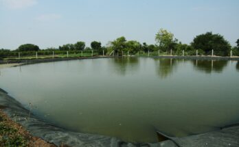 Processing of applications of 4 thousand farmers for individual farm ponds in the state is underway वैयक्तिक शेततळ्यासाठी राज्यात ४ हजारावर शेतकऱ्यांच्या अर्जावर प्रक्रिया सुरू हडपसर क्राइम न्यूज, हडपसर मराठी बातम्या, हडपसर न्युज Hadapsar Crime News, Hadapsar Marathi News, ,Hadapsar News