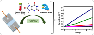 A new bioelectronic device for testing uric acid
युरिक ॲसिडच्या चाचणीसाठी  नवे जैव इलेक्ट्रॉनिक उपकरण
हडपसर क्राइम न्यूज, हडपसर मराठी बातम्या, हडपसर न्युज Hadapsar Crime News, Hadapsar Marathi News, ,Hadapsar News