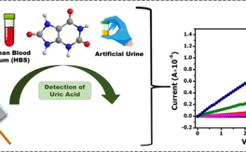 A new bioelectronic device for testing uric acid युरिक ॲसिडच्या चाचणीसाठी नवे जैव इलेक्ट्रॉनिक उपकरण हडपसर क्राइम न्यूज, हडपसर मराठी बातम्या, हडपसर न्युज Hadapsar Crime News, Hadapsar Marathi News, ,Hadapsar News