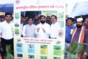 Chief Minister's visit to Agricultural Pandhari Exhibition and Cereal Festival
कृषी पंढरी प्रदर्शन व तृणधान्य महोत्सवाला मुख्यमंत्र्यांची भेट
हडपसर क्राइम न्यूज, हडपसर मराठी बातम्या, हडपसर न्युज Hadapsar Crime News, Hadapsar Marathi News, ,Hadapsar News