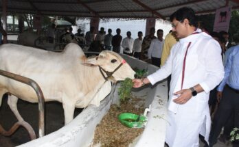 Agriculture Minister Dhananjay Munde's visit to Desi Cow Research and Training Centre कृषी मंत्री धनंजय मुंडे यांची देशी गाय संशोधन व प्रशिक्षण केंद्राला भेट हडपसर क्राइम न्यूज, हडपसर मराठी बातम्या, हडपसर न्युज Hadapsar Crime News, Hadapsar Marathi News, ,Hadapsar News