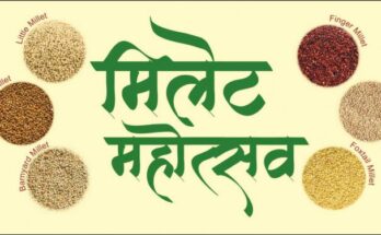 Millet Festival in Pune from January 17 on behalf of the Agriculture Marketing Board. कृषी पणन मंडळाच्यावतीने १७ जानेवारीपासून पुण्यात ‘मिलेट महोत्सव’ हडपसर क्राइम न्यूज, हडपसर मराठी बातम्या, हडपसर न्युज Hadapsar Crime News, Hadapsar Marathi News, ,Hadapsar News, Hadapsar Latest News